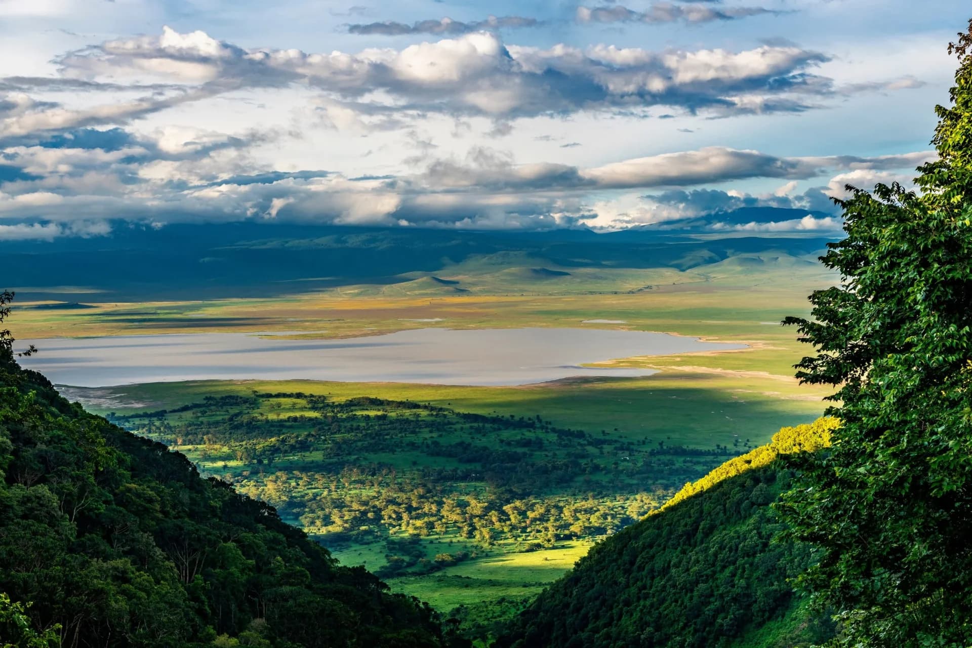 Ngorongoro crater rim landscape at sunrise
