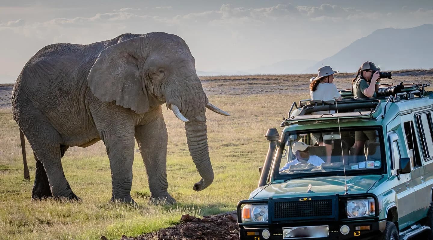 Game Drives