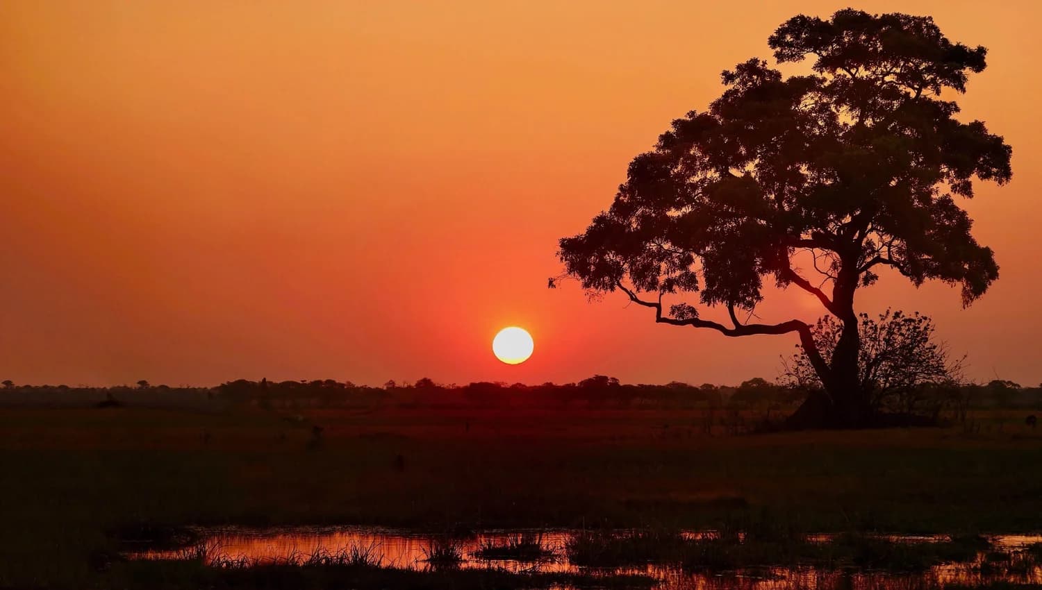 Sundowner